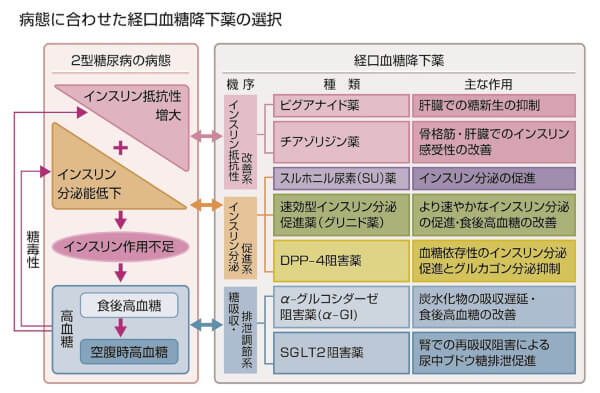 病態に合わせた経口血糖降下薬の選択の説明画像